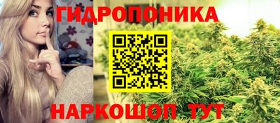 стаф Комсомольск-на-Амуре