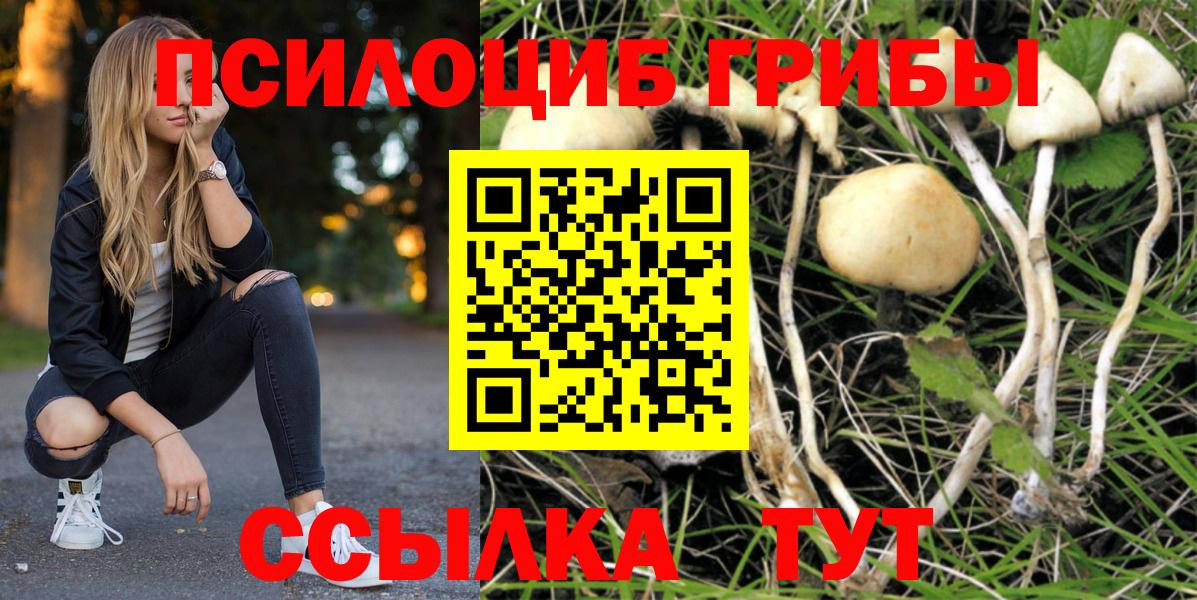 Галлюциногенные грибы Magic Shrooms  цены   Сланцы  Вход с VPN 