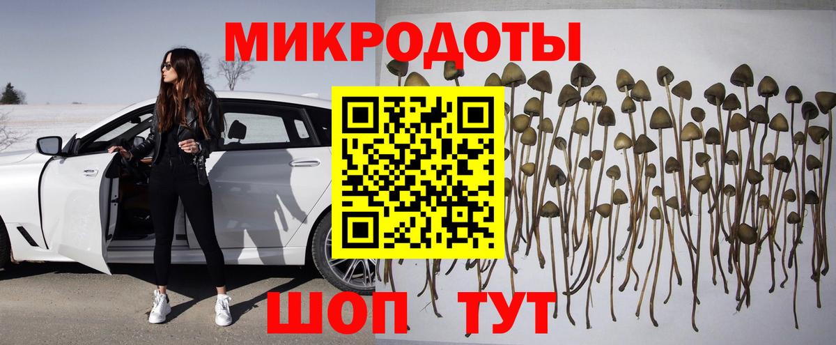 Галлюциногенные грибы мухоморы Сланцы